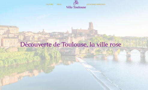 https://www.velo-toulouse.fr